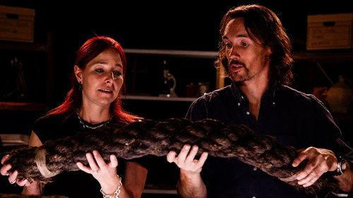 Digging for Britain Season 7 Episode 2 - West