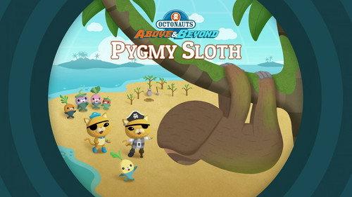 Octonauts: Above & Beyond Season 2 Episode 10 - Pygmy Sloths