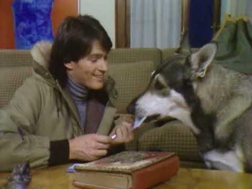 The Littlest Hobo Season 1 Episode 19 - Romiet and Julio