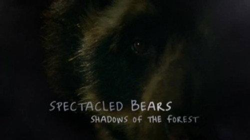 Natural World Season 27 Episode 14 - Spectacled Bears - Shadows Of The Forest