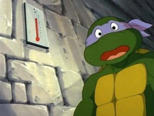 Teenage Mutant Ninja Turtles Season 6 Episode 8 - Too Hot to Handle