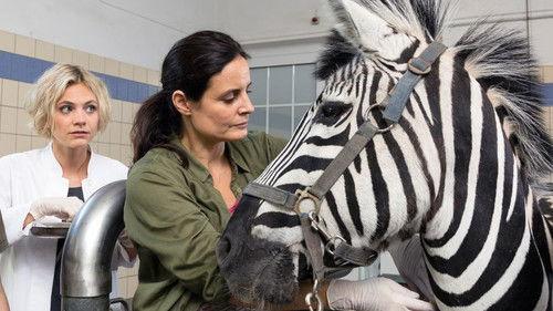 Tierärztin Dr. Mertens Season 5 Episode 12 - Episode 12