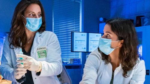 Tierärztin Dr. Mertens Season 7 Episode 3 - Episode 3