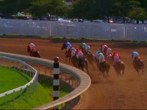 Early Edition Season 3 Episode 3 - A Horse Is a Horse