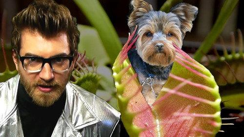 Good Mythical Morning Season 1 Episode 3 - Dog-Eating Plants