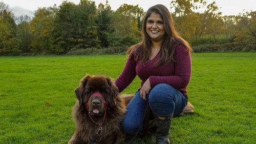 The Supervet: Noel Fitzpatrick Season 16 Episode 3 - Episode 3