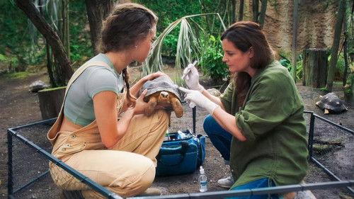 Tierärztin Dr. Mertens Season 8 Episode 6 - Episode 6