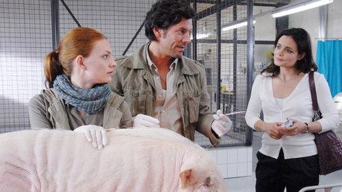 Tierärztin Dr. Mertens Season 4 Episode 2 - Episode 2