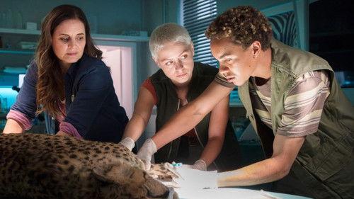 Tierärztin Dr. Mertens Season 9 Episode 7 - Episode 7