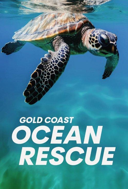 Gold Coast Ocean Rescue poster
