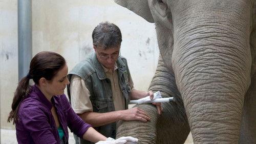 Tierärztin Dr. Mertens Season 3 Episode 3 - Episode 3