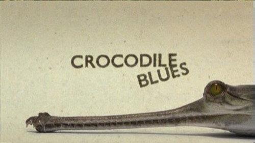 Natural World Season 28 Episode 4 - Crocodile Blues