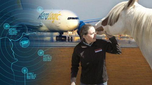 Mittendrin - Flughafen Frankfurt Season 8 Episode 5 - Episode 5