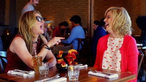 Lady Dynamite Season 1 Episode 1 - Pilot