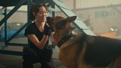 Hudson & Rex Season 7 Episode 4 - K9: The Rext Generation