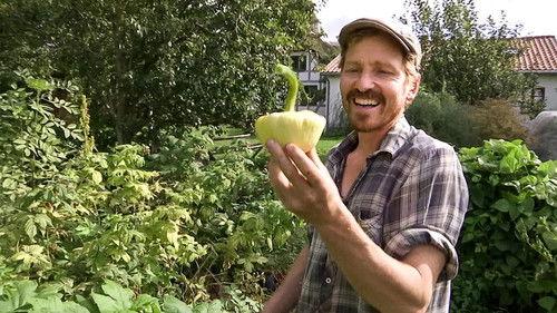 Frank & Kastaniegaarden Season 26 Episode 15 - Afterburner and UFO squash