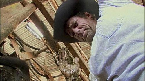Dirty Jobs Season 2 Episode 1 - Avian Vomitologist