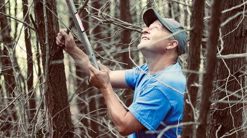 Louis and the Urban Jungle Season 4 Episode 6 - Episode 6