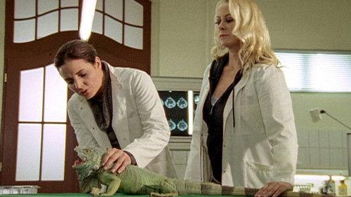 Tierärztin Dr. Mertens Season 3 Episode 5 - Episode 5