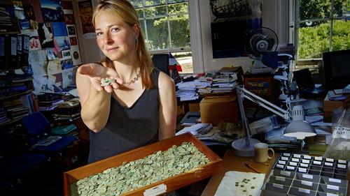 Digging for Britain Season 1 Episode 1 - The Romans