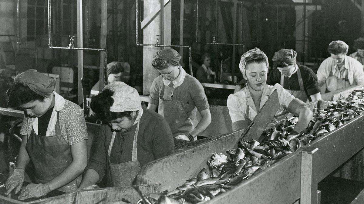Working People: A History of Labour in British Columbia backdrop