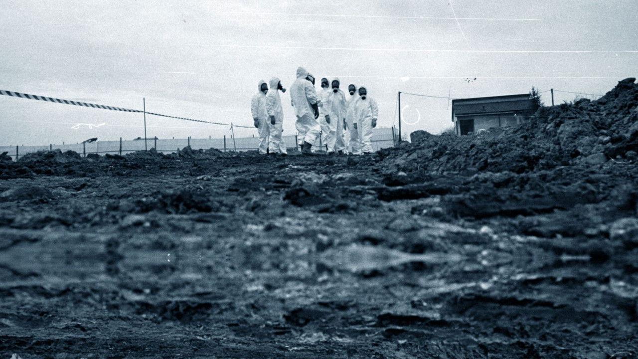 Ossi di Seppia - Il rumore della memoria backdrop