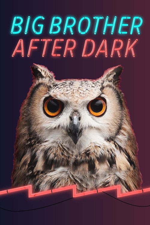 Big Brother: After Dark poster