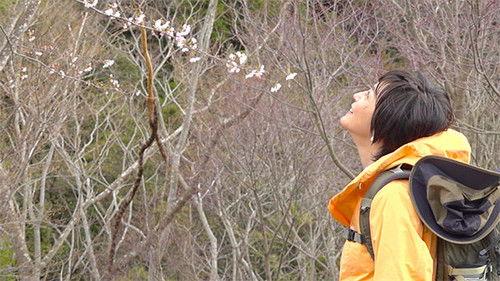 Because the Mountain is There Season 2 Episode 2 - Episode 2