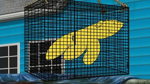 Aqua Teen Hunger Force Season 4 Episode 6 - Handbanana
